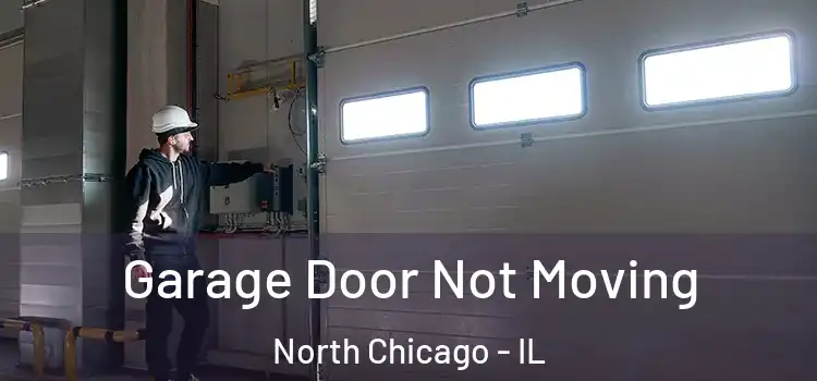  Garage Door Not Moving North Chicago - IL