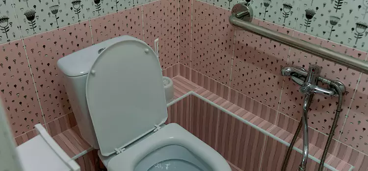 Meeting Diverse Needs With Accessible Restroom Solutions in North Chicago, IL