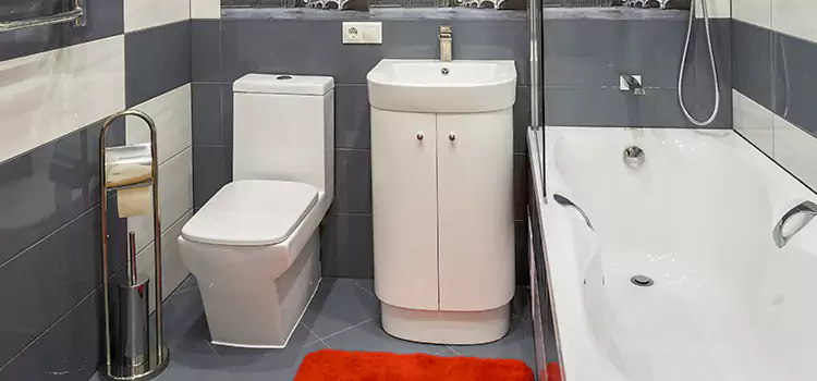 Hansgrohe Shaving Mirror North Chicago